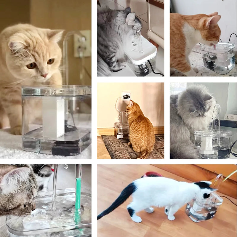 💧 Fonte Vida Pet™ – Hidratação Pura e Amor em Cada Gole